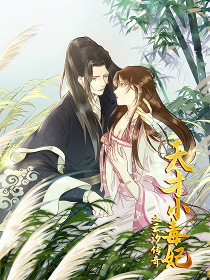 天才小毒妃（《芸汐传》原作）封面